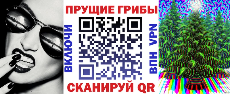 ОМГ ОМГ ссылка купить Ярцево Псилоцибиновые грибы MAGIC MUSHROOMS