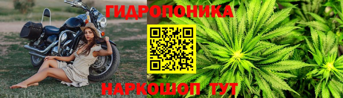 Шишки марихуана планчик Ярцево